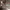 https://res.cloudinary.com/billionhands/image/upload/v1771512629/items/dth9igyksuy9lfrvbbzi.jpg-1cover