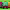 https://res.cloudinary.com/billionhands/image/upload/v1771513342/items/qggu6qt2kmzhjuwkpilt.jpg-1cover