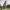 https://res.cloudinary.com/billionhands/image/upload/v1771513355/items/batdatkmzvgmlfntwzp0.jpg-3cover