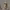 https://res.cloudinary.com/billionhands/image/upload/v1771513367/items/ozl4ev9e4s0abw5r1tzs.jpg-2cover