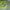 https://res.cloudinary.com/billionhands/image/upload/v1771513369/items/ubzsvmw8dt4b0abihciu.jpg-1cover