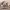 https://res.cloudinary.com/billionhands/image/upload/v1771516859/items/vek3mg8qrxbkz6d10a46.jpg-3cover