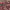 https://res.cloudinary.com/billionhands/image/upload/v1771572194/items/rmubyvvcnfk5hyxixsqz.jpg-3cover