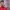 https://res.cloudinary.com/billionhands/image/upload/v1771572199/items/tzhuya8gehh1lklxb0xj.jpg-3cover