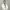 https://res.cloudinary.com/billionhands/image/upload/v1771572212/items/fydkajvc6b0yortonrvo.jpg-3cover