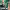 Freepik (AI Video Generator) cover