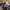https://res.cloudinary.com/billionhands/image/upload/v1771577881/items/wrktbabg3ezabcqwortm.jpg-3cover