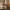 https://res.cloudinary.com/billionhands/image/upload/v1771577913/items/xhwnzltifarrc12qolee.jpg-2cover