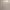 https://res.cloudinary.com/billionhands/image/upload/v1771577914/items/a37cowtnkbjgtupa6th5.jpg-2cover