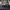 https://res.cloudinary.com/billionhands/image/upload/v1771577942/items/ld6r0nni3wummh8cletf.webp-3cover