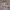 https://res.cloudinary.com/billionhands/image/upload/v1771577944/items/zg185uzhrh56wdfhwcku.jpg-3cover