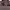 https://res.cloudinary.com/billionhands/image/upload/v1771577946/items/vk39xfc2et8uaicmsygh.jpg-0cover