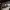 https://res.cloudinary.com/billionhands/image/upload/v1771577948/items/p6kt6oqucxqjekzlxlbf.jpg-2cover