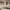 https://res.cloudinary.com/billionhands/image/upload/v1771577950/items/u7az92rdrpp4ifoddgsf.webp-0cover