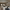 https://res.cloudinary.com/billionhands/image/upload/v1771577960/items/azoj9xzyked8mczzodkw.jpg-2cover