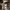 https://res.cloudinary.com/billionhands/image/upload/v1771577960/items/ti6nczofgj4l6t8qnebv.png-0cover