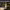 https://res.cloudinary.com/billionhands/image/upload/v1771577960/items/zhzdh52ulfunufi8rsnc.jpg-3cover