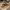 https://res.cloudinary.com/billionhands/image/upload/v1771577964/items/nyid8oh3varqv4dnbsl8.jpg-2cover