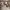 https://res.cloudinary.com/billionhands/image/upload/v1771577972/items/hn92spg4qxiejdawdhvq.jpg-3cover