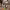 https://res.cloudinary.com/billionhands/image/upload/v1771578009/items/vvskk1oryj6ry834oiqg.jpg-0cover