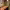 https://res.cloudinary.com/billionhands/image/upload/v1771578055/items/lmlk1xcptmihln6vrqyj.jpg-2cover