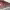 https://res.cloudinary.com/billionhands/image/upload/v1771578062/items/n630fzufxdxuxwbux6gx.jpg-0cover