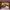 https://res.cloudinary.com/billionhands/image/upload/v1771578062/items/v0vfssajlu07amiwggkd.jpg-0cover