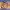 https://res.cloudinary.com/billionhands/image/upload/v1771578071/items/uclz8iek0ynct5ve2his.webp-0cover