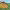 https://res.cloudinary.com/billionhands/image/upload/v1771578078/items/pifriamefzhlcu8qqxr6.jpg-1cover