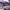 https://res.cloudinary.com/billionhands/image/upload/v1771578082/items/xmqqnorlv8rn2vxxuljl.jpg-0cover
