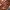 https://res.cloudinary.com/billionhands/image/upload/v1771578086/items/jrsgoxhfqcqzj34nmweo.webp-3cover