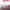 https://res.cloudinary.com/billionhands/image/upload/v1771578087/items/a05o8dk47dapbafe5oai.jpg-0cover