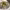 https://res.cloudinary.com/billionhands/image/upload/v1771578089/items/fh0wryhhvfkxoxbfb6ih.jpg-3cover