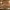 https://res.cloudinary.com/billionhands/image/upload/v1771578093/items/qojehxvpitgckifszofi.jpg-0cover
