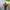 https://res.cloudinary.com/billionhands/image/upload/v1771578152/items/qccjnflg9ehkavdjf5u0.jpg-2cover