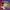 https://res.cloudinary.com/billionhands/image/upload/v1771578178/items/zqds96afqa2fglgjltky.jpg-0cover