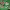 https://res.cloudinary.com/billionhands/image/upload/v1771578209/items/vnyak96cagysm9ayrq5d.jpg-3cover