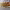https://res.cloudinary.com/billionhands/image/upload/v1771578210/items/zx5cvznrhfjeg3ts79pb.jpg-3cover