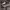 https://res.cloudinary.com/billionhands/image/upload/v1771578215/items/ysgkfblsxknrwlrt29kp.jpg-3cover