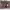https://res.cloudinary.com/billionhands/image/upload/v1771578258/items/dhtw3p8pnkqkjq1tbg5n.jpg-2cover