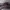 https://res.cloudinary.com/billionhands/image/upload/v1771578258/items/n5aecj6sc2vekoduwi2d.jpg-1cover