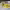 https://res.cloudinary.com/billionhands/image/upload/v1771578263/items/wof6qxbbdjd2kkv09ih6.webp-3cover