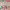 https://res.cloudinary.com/billionhands/image/upload/v1771578270/items/bccj2slsxzxkcl84donz.jpg-2cover