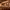 https://res.cloudinary.com/billionhands/image/upload/v1771578316/items/cmngvpn64uvm6wjqnqrk.jpg-0cover
