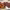 https://res.cloudinary.com/billionhands/image/upload/v1771578346/items/nyyxcjza7ylwrehqz01q.jpg-3cover