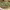 https://res.cloudinary.com/billionhands/image/upload/v1771578361/items/wt6vjexxyvyr8ohqic7w.jpg-3cover