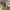 https://res.cloudinary.com/billionhands/image/upload/v1771578380/items/r6c7ijkba6ax0hturp9j.jpg-2cover