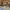 https://res.cloudinary.com/billionhands/image/upload/v1771578407/items/ofmxly5yxddfzrzroogp.webp-2cover