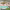 https://res.cloudinary.com/billionhands/image/upload/v1771578449/items/tu71df8remqpqqbkhnbp.jpg-1cover