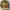 https://res.cloudinary.com/billionhands/image/upload/v1771578455/items/xhcvkxdy42d65ecgfsvu.jpg-3cover